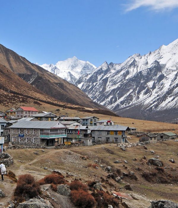 Langtang valley trek